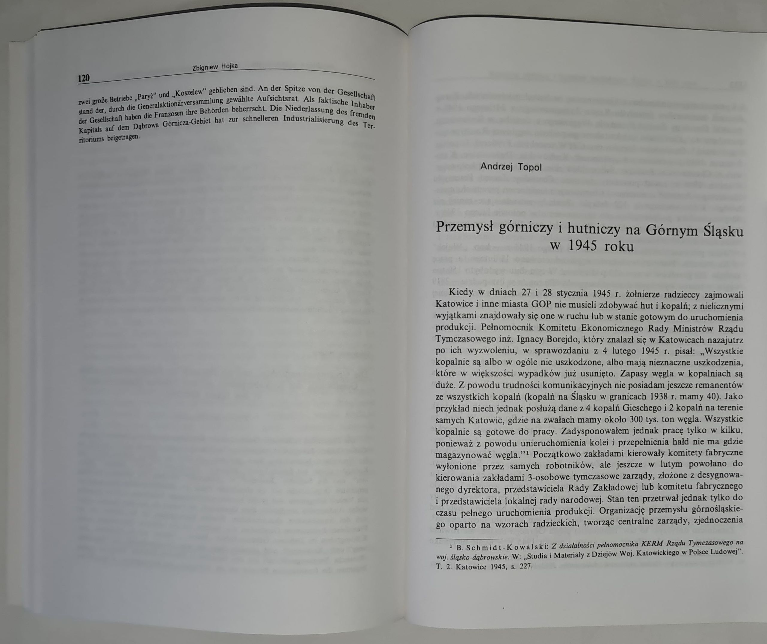 Przemysł na Górnym Śląsku i w Zagłębiu Dąbrowskim w XIX i XX wieku. Wybrane zagadnienia