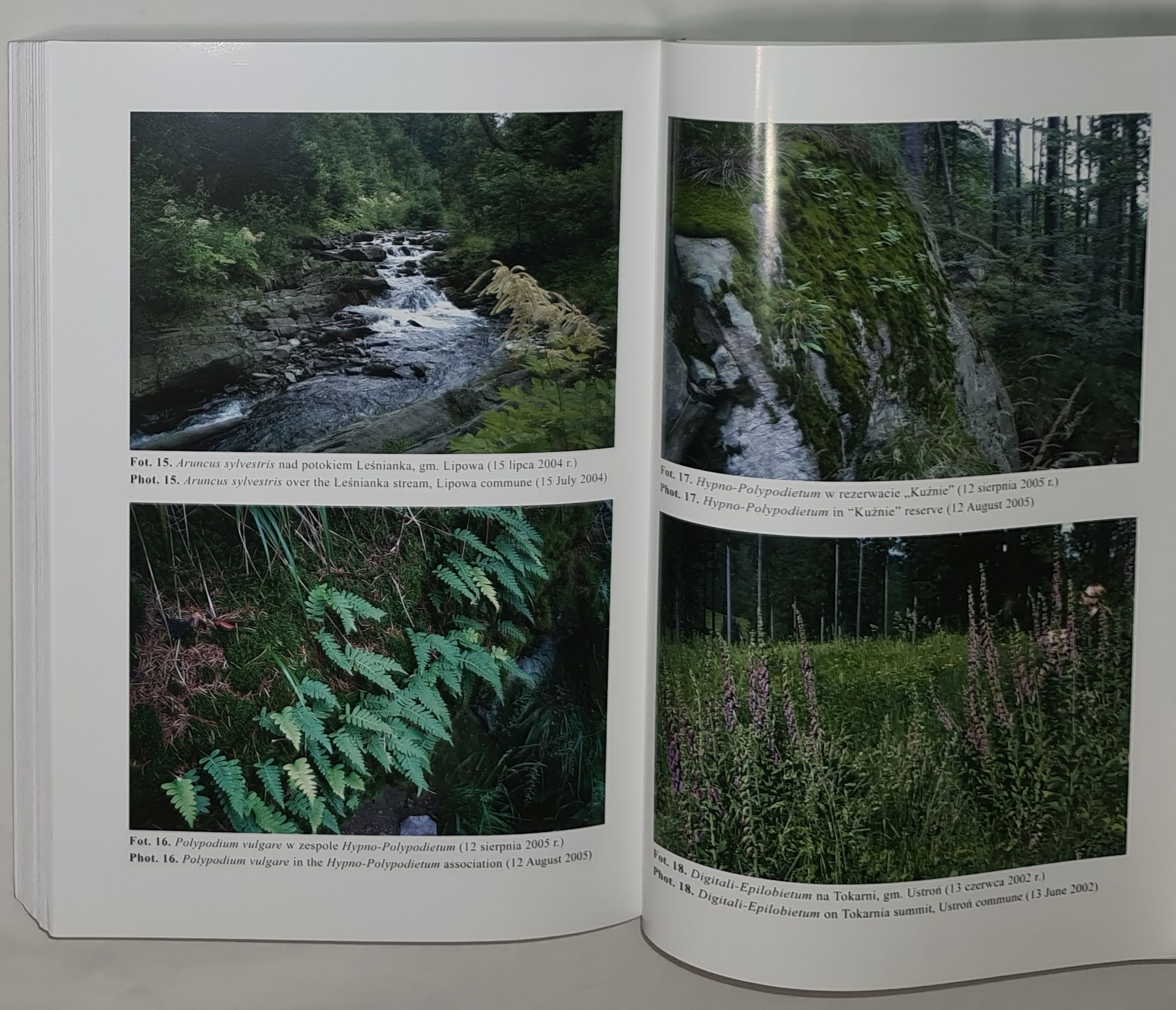 Fitosocjologiczne uwarunkowania ochrony przyrody Beskidu Śląskiego (Karpaty Zachodnie)