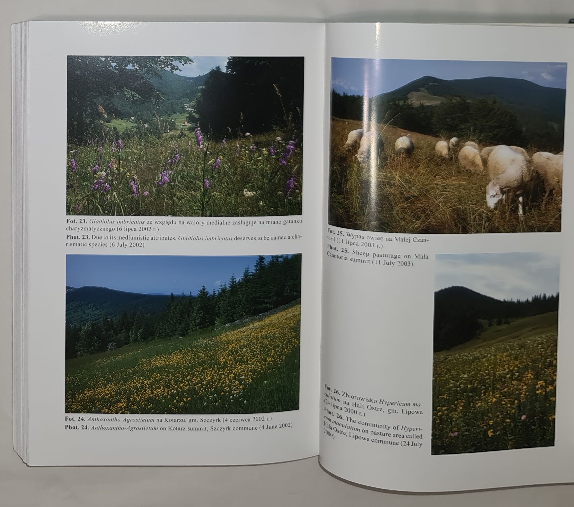 Fitosocjologiczne uwarunkowania ochrony przyrody Beskidu Śląskiego (Karpaty Zachodnie)