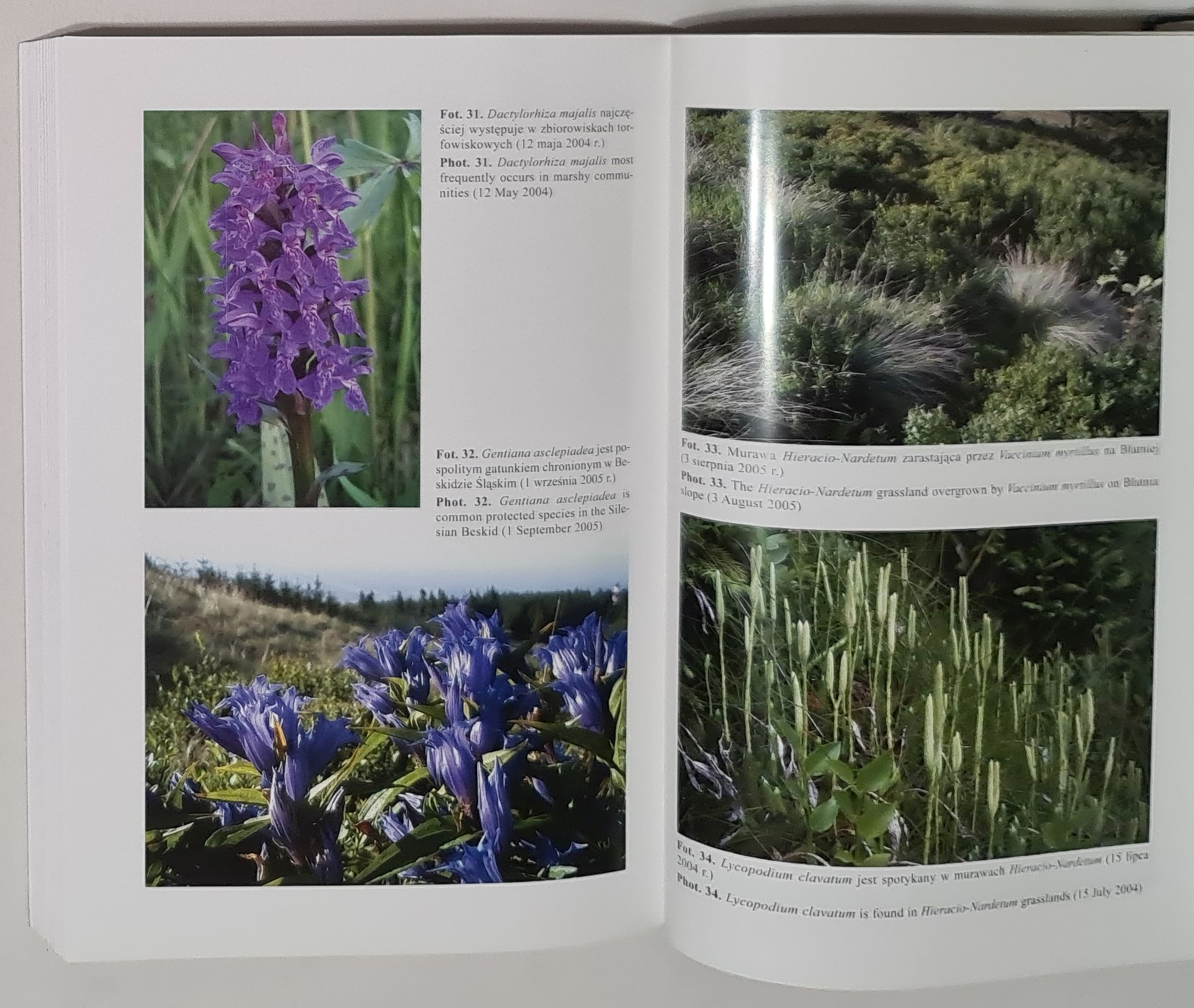 Fitosocjologiczne uwarunkowania ochrony przyrody Beskidu Śląskiego (Karpaty Zachodnie)