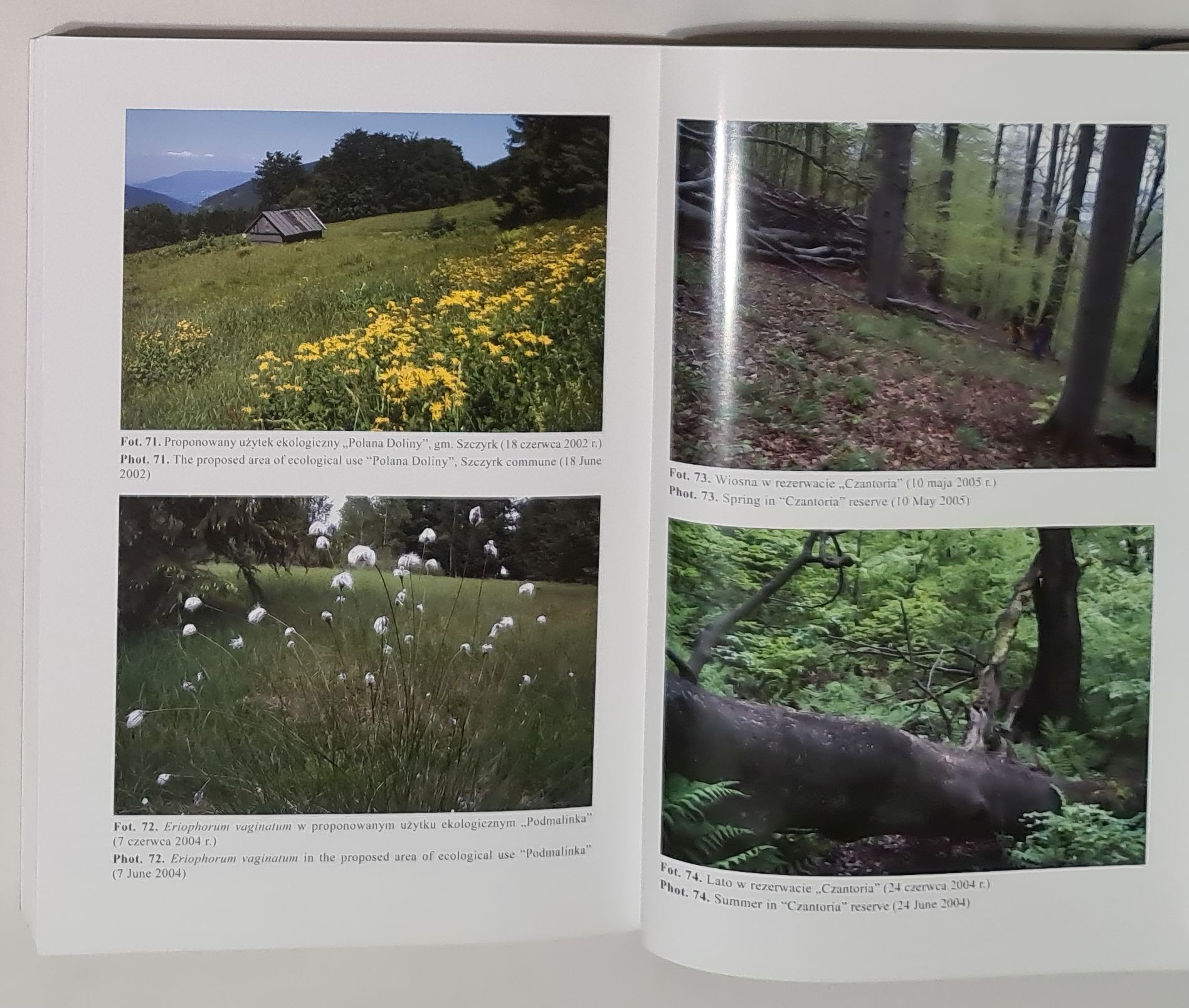 Fitosocjologiczne uwarunkowania ochrony przyrody Beskidu Śląskiego (Karpaty Zachodnie)