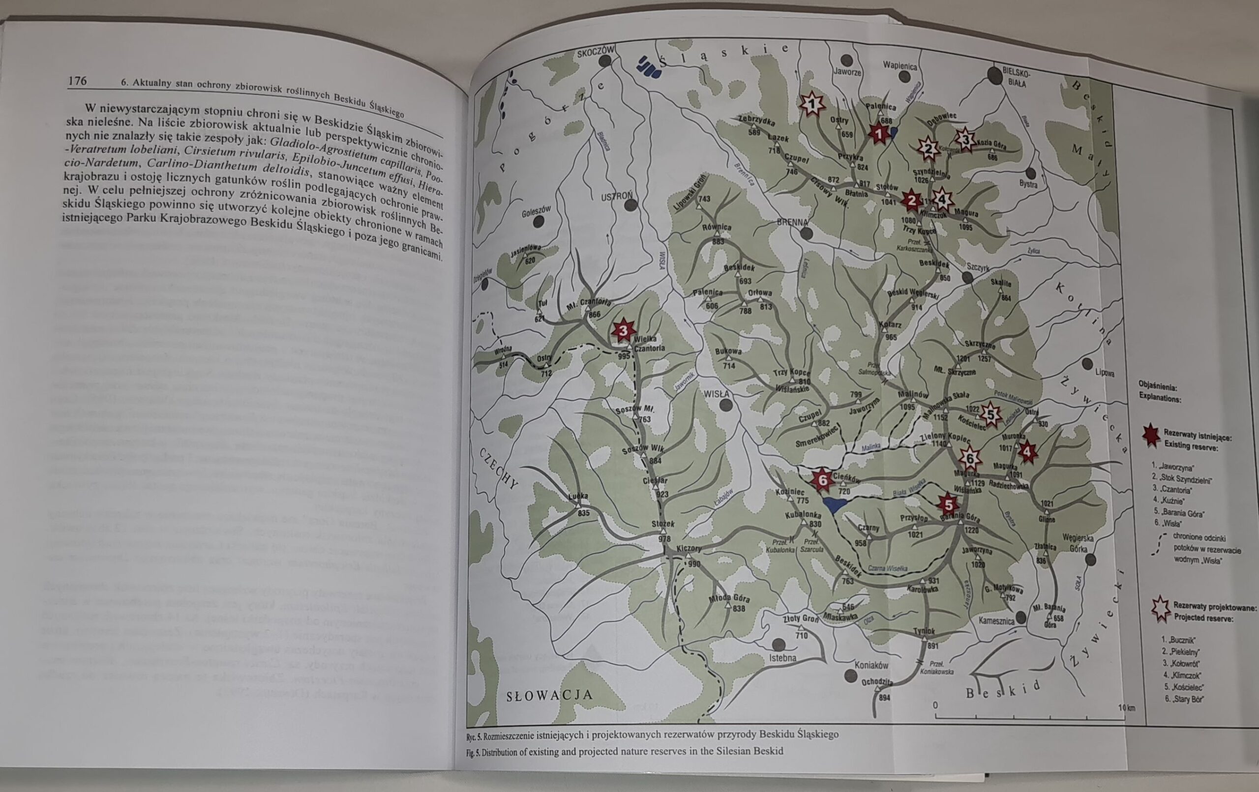 Fitosocjologiczne uwarunkowania ochrony przyrody Beskidu Śląskiego (Karpaty Zachodnie)