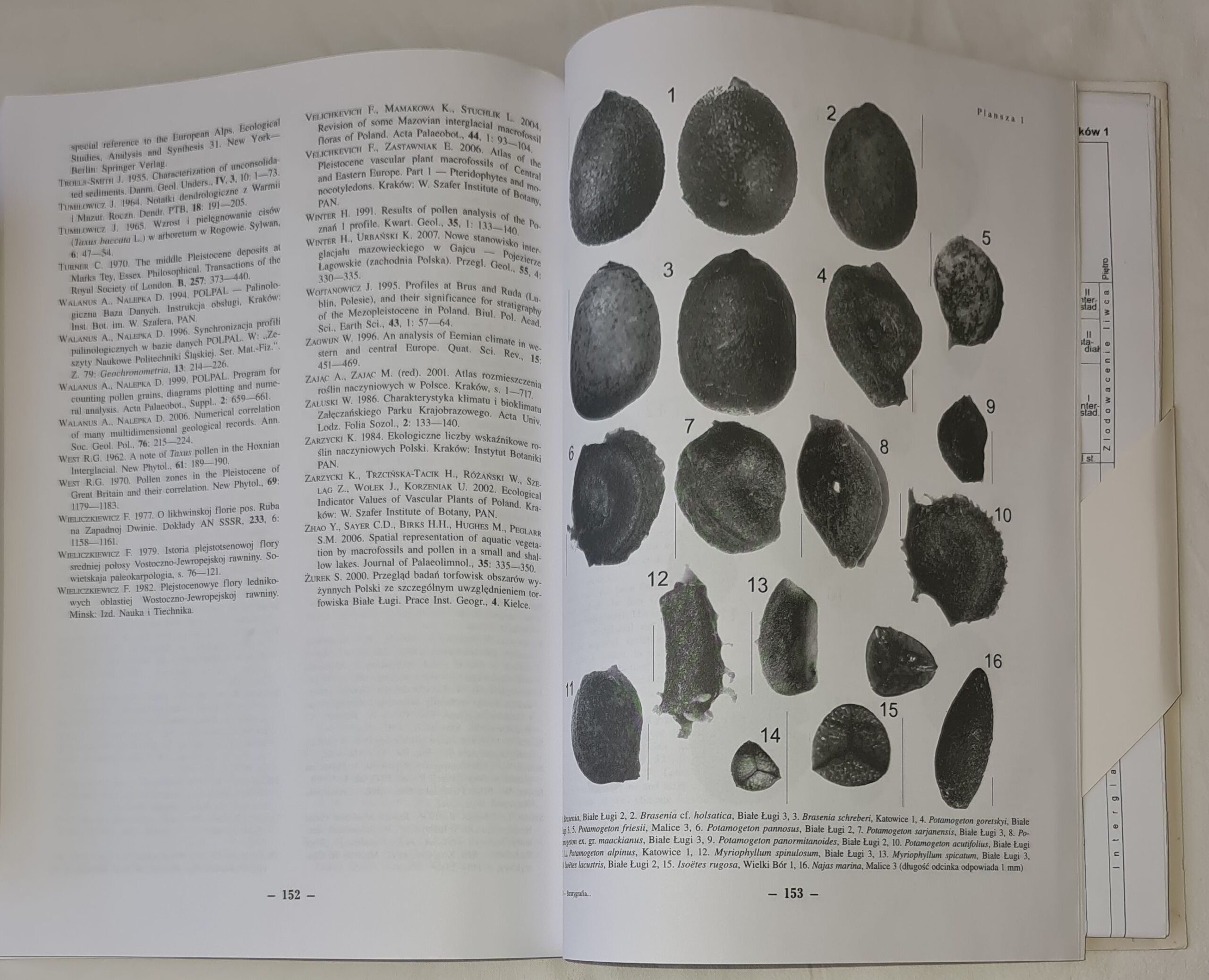 Stratygrafia pyłkowa i historia roślinności interglacjału mazowieckiego i starszej części zlodowacenia liwca w zachodniej i środkowej części Wyżyn Polskich