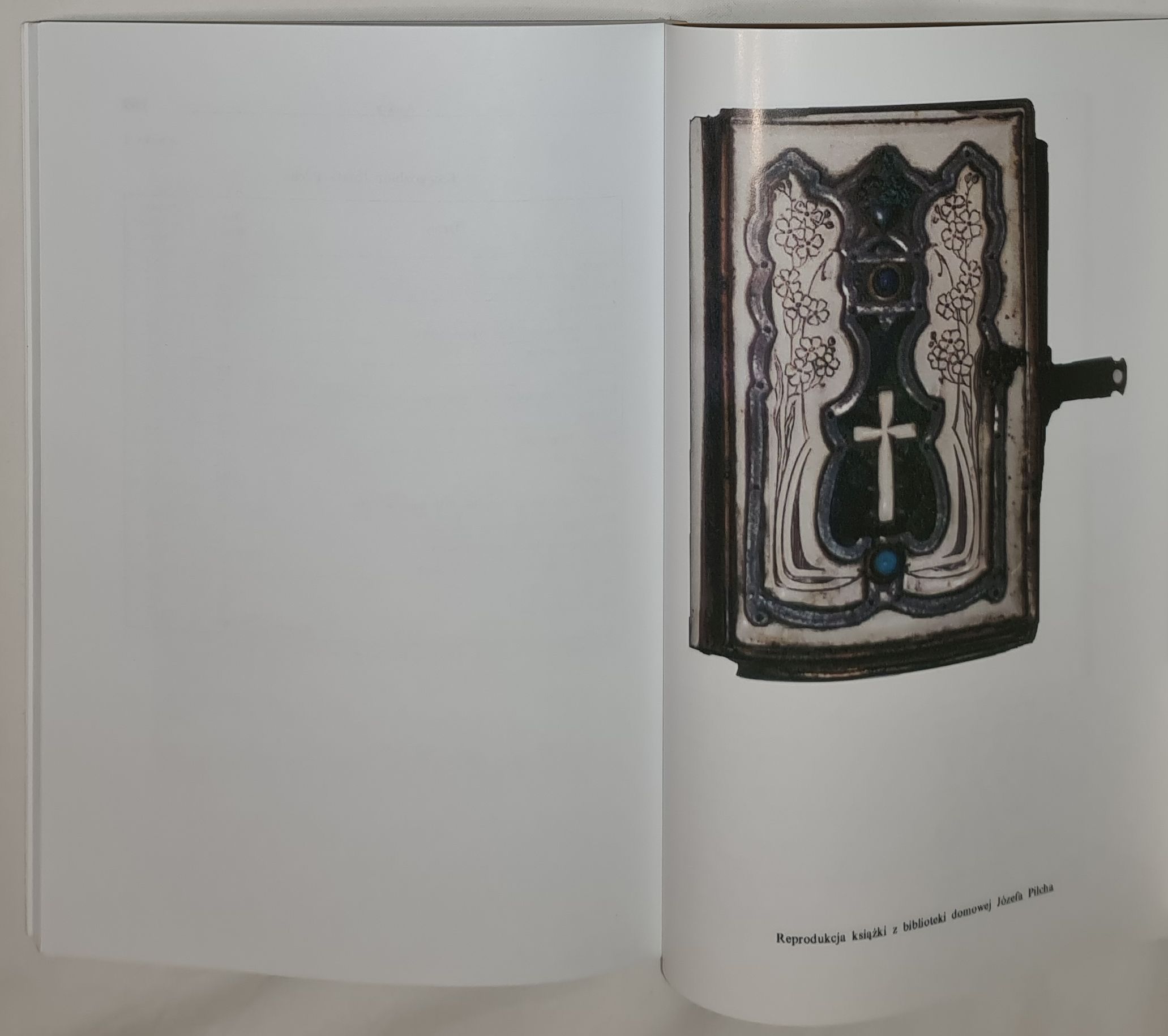 Polskie historyczne księgozbiory domowe na Śląsku Cieszyńskim (XX wiek)