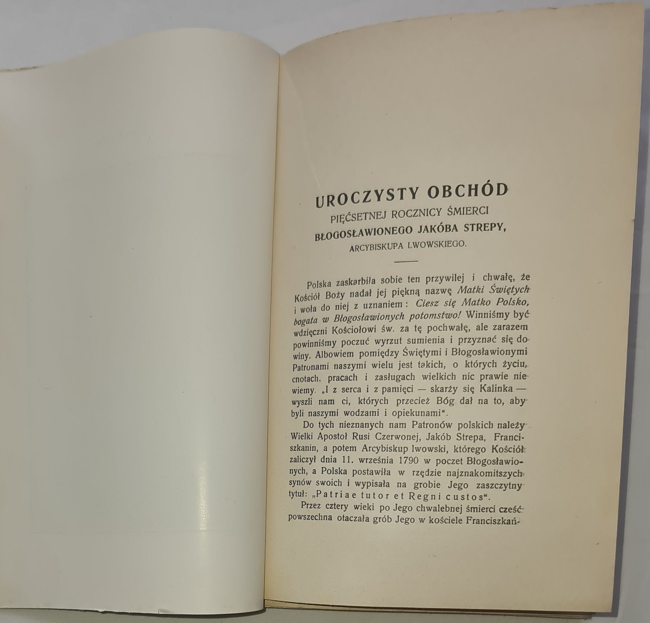 Pamiątka pięćsetnej rocznicy śmierci błog. Jakóba Strepy franciszkanina, arcybiskupa lwowskiego 1409—1909. Kazania. Z 10 portretami i podobiznami